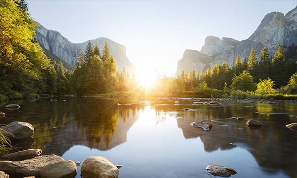 河道/水體修復工程