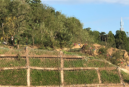 北嶺山山體加固與復(fù)綠工程